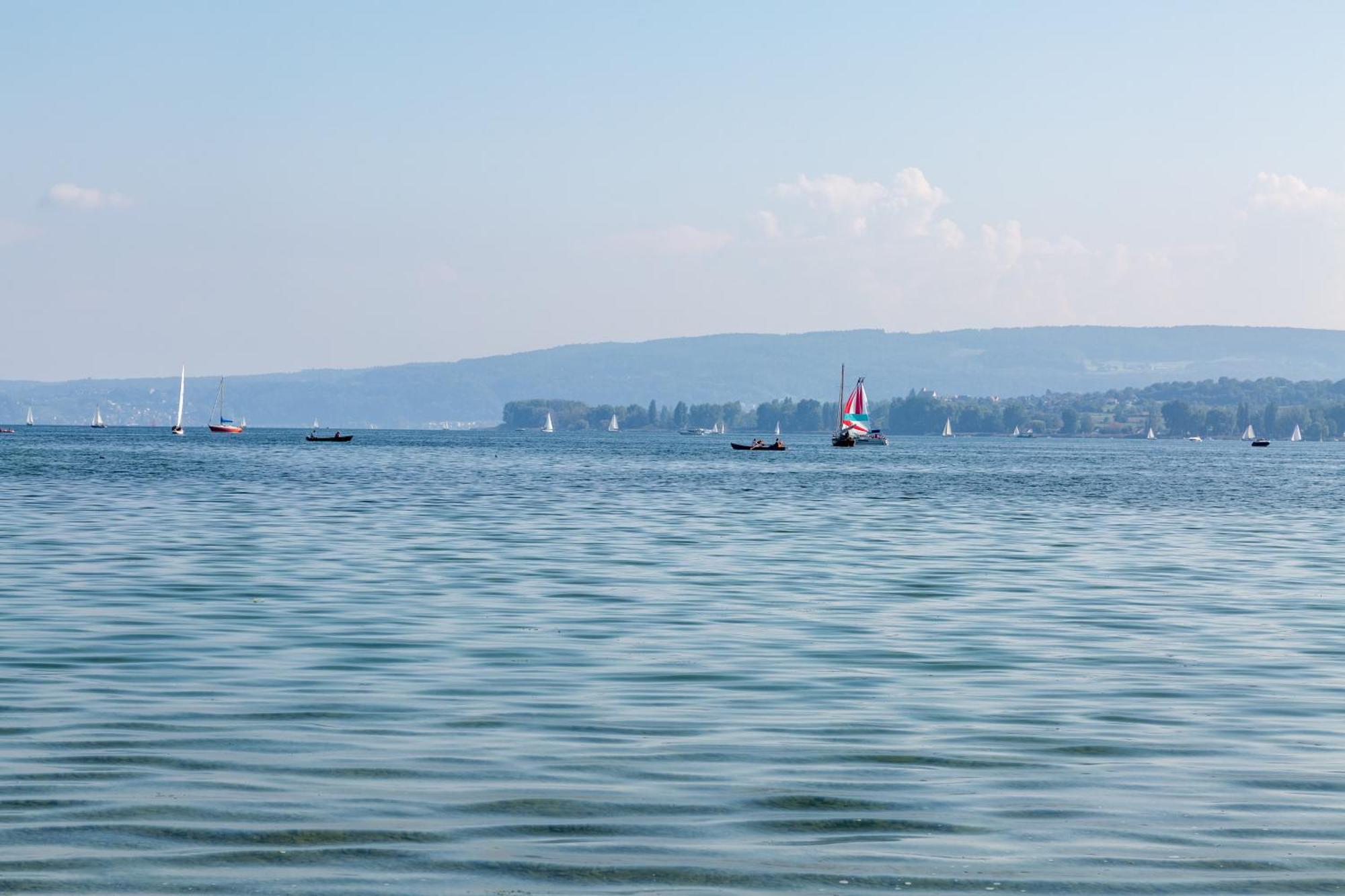 Wiesenblick Radolfzell am Bodensee Dış mekan fotoğraf